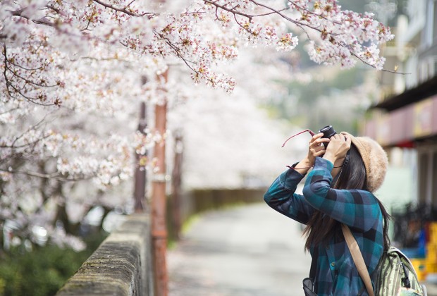 Tokyo Sakura